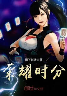 《荣耀时分》小说封面