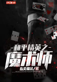 《和平精英之魔术师》小说封面