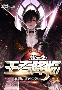《次元之王者降临》小说封面