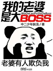 《我的老婆是大BOSS》小说封面