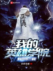 《我的英雄学院有点不一样》小说封面