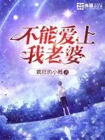 《不能爱上我老婆》小说封面