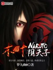 《木叶阴天子》小说封面