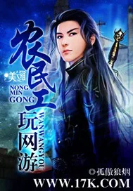 《农民工玩网游》小说封面
