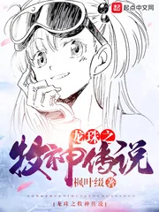《龙珠之牧神传说》小说封面