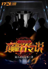 《王者荣耀之巅峰传说》小说封面