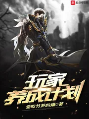 《玩家养成计划》小说封面