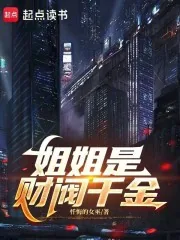 《姐姐是财阀千金》小说封面