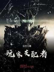 《玩家支配者》小说封面