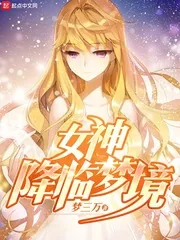 《女神降临梦境》小说封面