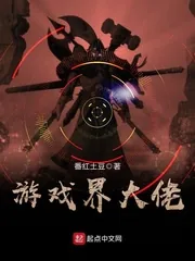 《游戏界大佬》小说封面