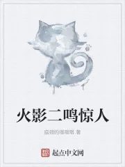 《木叶二鸣惊人》小说封面