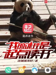 《我的外挂是起点读书》小说封面