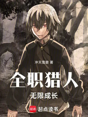 《全职猎人：无限成长》小说封面