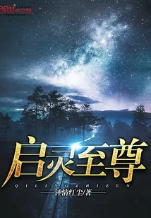 《启灵至尊》小说封面