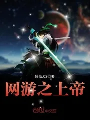 《网游之上帝》小说封面