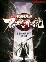 《次元无敌召唤系统》小说封面