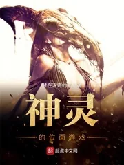 《神灵的位面游戏》小说封面