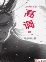 《我真的不想高调啊》小说封面