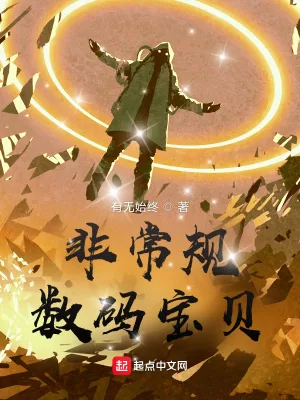 《非常规数码宝贝》小说封面