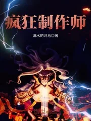《疯狂制作师》小说封面