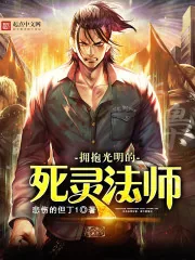 《拥抱光明的死灵法师》小说封面