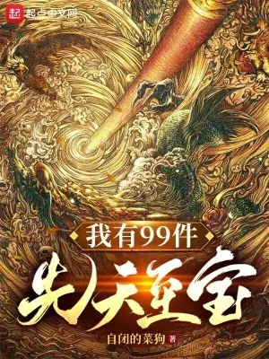 《我有99件先天至宝》小说封面