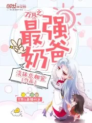 《万界之最强奶爸》小说封面