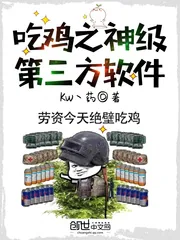 《吃鸡之神级第三方软件》小说封面