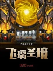 《飞璃圣境》小说封面