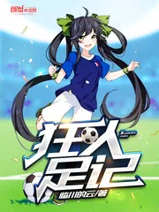 《狂人足记》小说封面