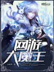 《网游大魔王》小说封面