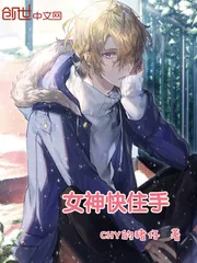 《女神快住手》小说封面