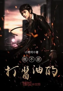 《我不是打酱油的》小说封面