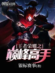 《王者荣耀之巅峰高手》小说封面