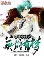 《穿越火线之英雄有梦》小说封面