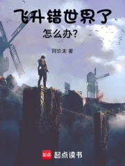 《飞升错世界了怎么办？》小说封面