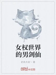 《女权世界的男剑仙》小说封面