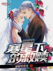 《王者荣耀之寒星下的救赎》小说封面