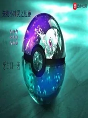 《宠物小精灵之佐藤》小说封面