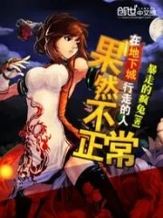 《在地下城行走的人果然不正常》小说封面
