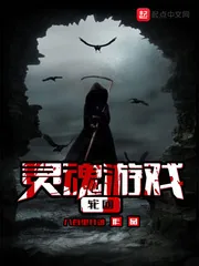 《灵魂游戏——轮回》小说封面