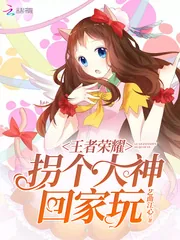 《王者荣耀：拐个大神回家玩》小说封面
