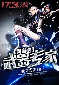 《网游之武器专家》小说封面
