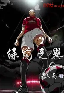 《绿茵之翼》小说封面