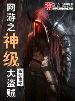 《网游之神级大盗贼》小说封面