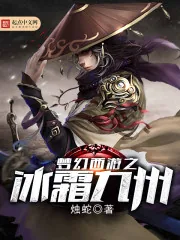 《梦幻西游之冰霜九州》小说封面