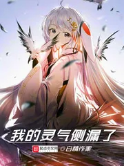 《我的灵气侧漏了》小说封面