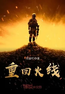 《重回火线》小说封面
