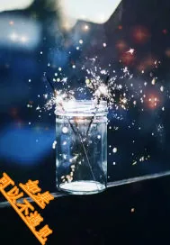 《如果可以不遇见》小说封面